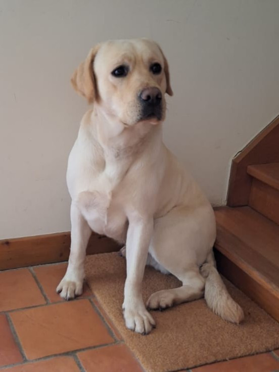 Volnay De la croix d'albatre