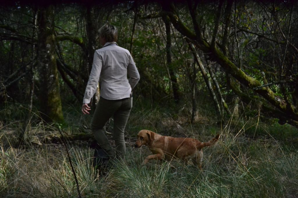 La chasse